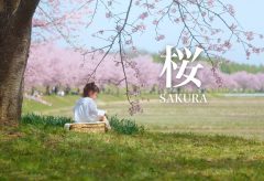 【Views】2121『桜舞う季節』1分41秒