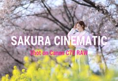 【Views】2130『Sakura Cinematic | Shot on Canon C70 Cinema RAW Light』4分6秒