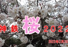 【Views】2124『神鉄 桜 2022』3分