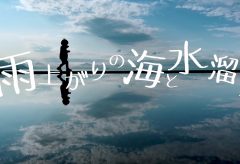 【Views】2143『雨上がりの海と水溜り』3分56秒