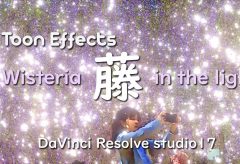 【Views】2158『Toon effects 藤 – Wisteria in the light』2分9秒