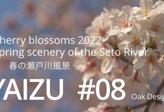 【Views】2162『桜　春の瀬戸川風景』3分53秒