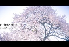【Views】2175『The Life of Time 〜今を生きる〜』4分20秒