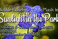 【Views】2184『Bubble Bokeh & MagicMask test / Sunlight in the Park』1分43秒