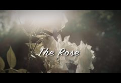 【Views】2225『The Rose』1分51秒
