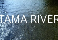 【Views】2272『TAMA RIVER』2分