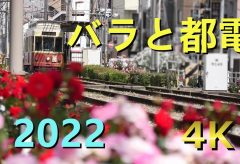 【Views】2287『バラと都電【2022】都電荒川線』4分52秒