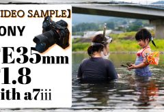 【Views】2321『徳島で過ごした夏の思い出』2分49秒
