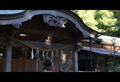 【Views】2431『秋の神社』50秒