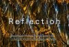 【Views】2451『Reflection』2分6秒