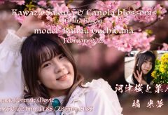 【Views】2487『河津桜と菜の花』1分40秒