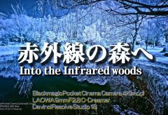 【Views】2522『赤外線の森へ / Into the Infrared woods』2分51秒