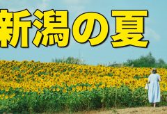 【Views】2680『新潟の夏』3分33秒