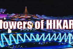 【Views】2721『Flowers of HIKARI-2023-』4分31秒
