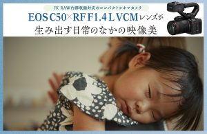 ニコン、超望遠ズームレンズ NIKKOR Z 100-400mm f/4.5-5.6 VR S、標準